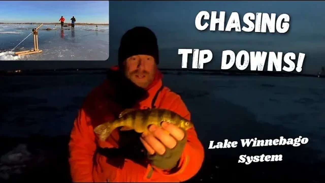 Shallow Water Perch on Lake Winnebago System, Chasing after Perch on Tip Downs!