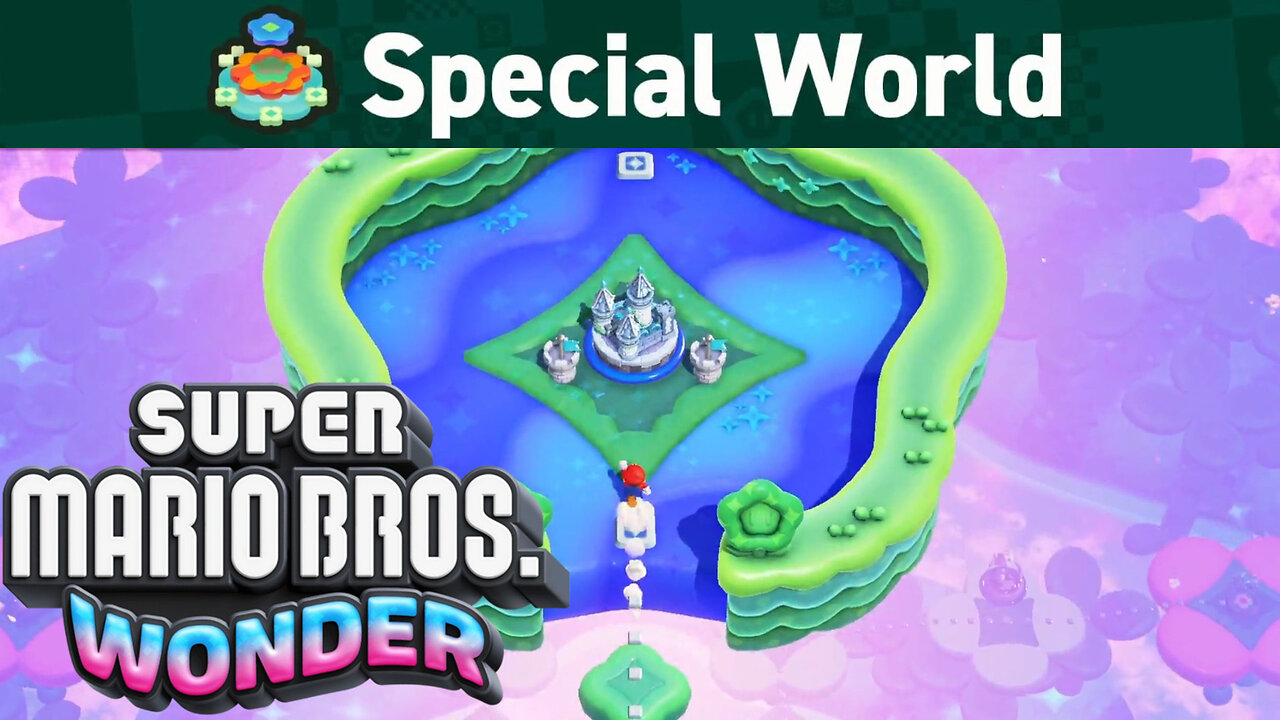 QUICK EASY Guide World 8 Levels Secret Exits Flower Coins and Wonder Flowers Mario Special World