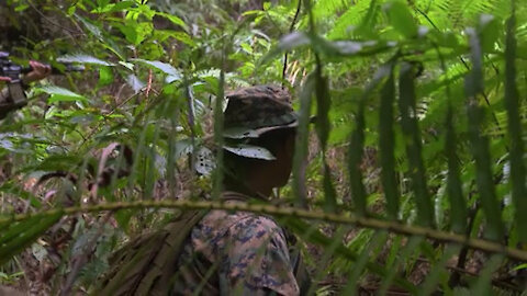 Battlespace Surveillance Company Field Exercise - B-Roll