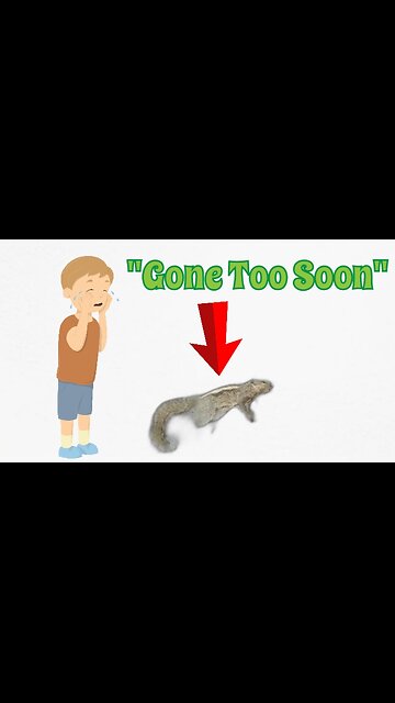 Heartbreaking Farewell: A Squirrel's Tragic End on the Road 🐿😞