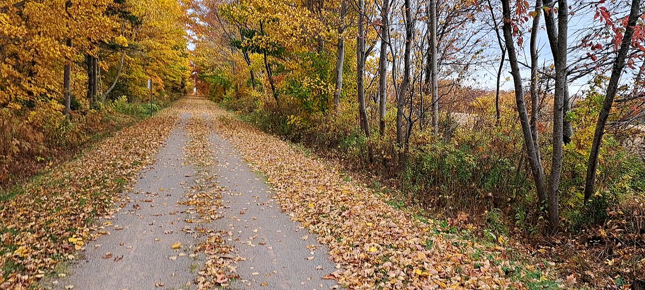 walk through the autumn woods October 24th 2024