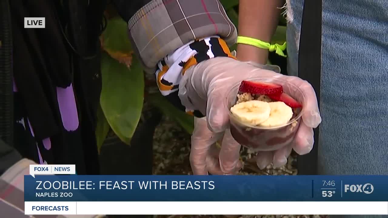 Naples Zoobilee feast with acai bowls