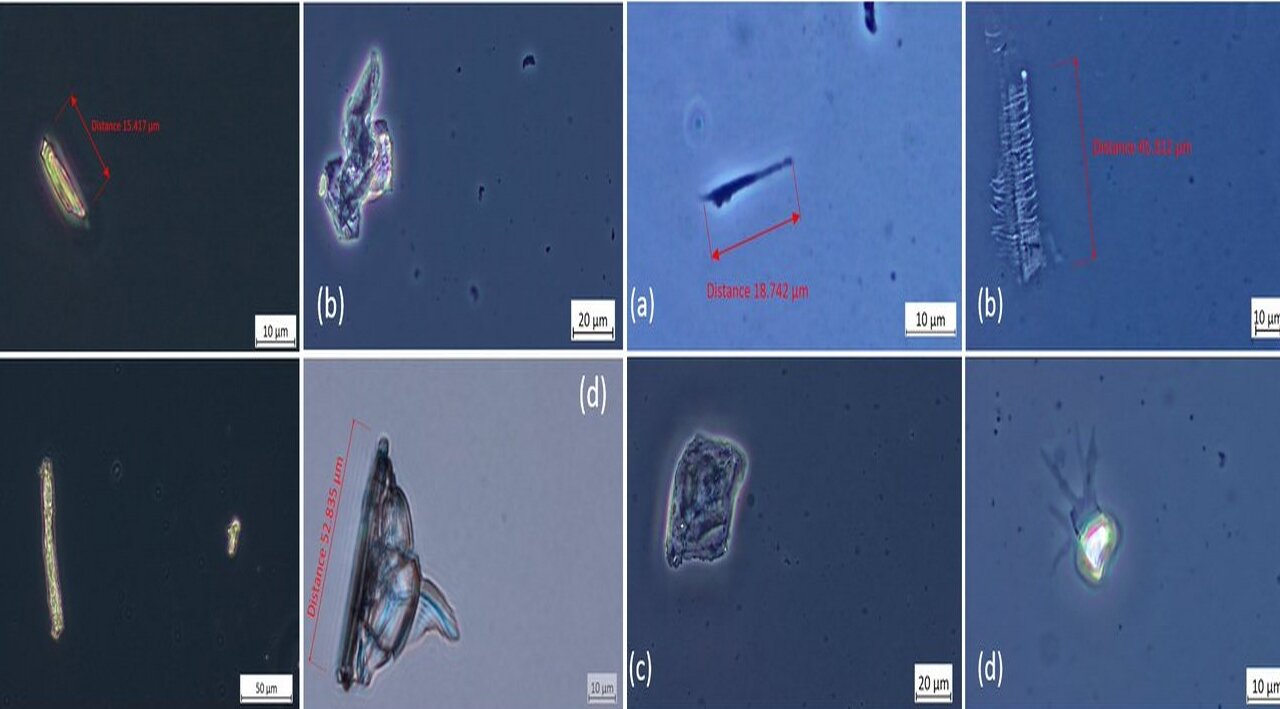 ANALISI RICARDO DELGADO ITALIANO:NANOTECNOLOGIA-OSSIDO DI GRAFENE NEI VACCINI covID