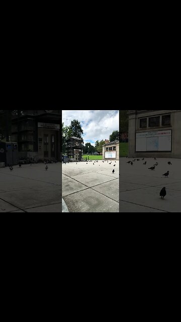 Boston Common est 1634.