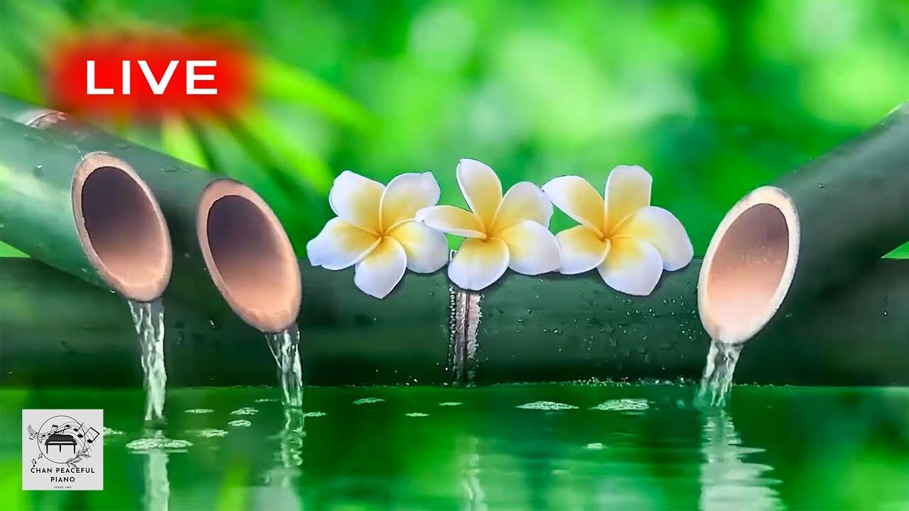 Relaxing Music 24/7, Sleep Music, Stress Relief Music, Spa, Meditation, Yoga, Zen, Sleeping Music