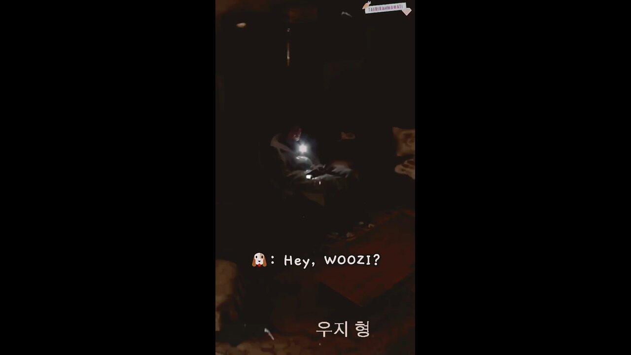 a scared catš„°