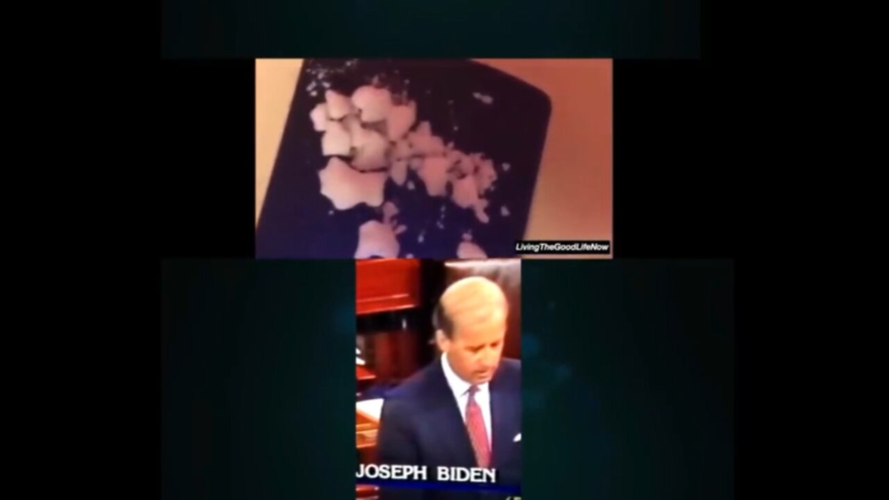 “The Patriot Hour” Hunter Biden and 4 Chan dump.