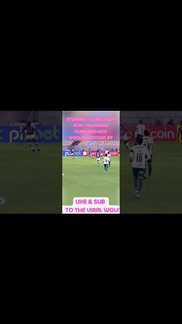 👀Stunning Strike From Rony Palmeiras 👀 #7