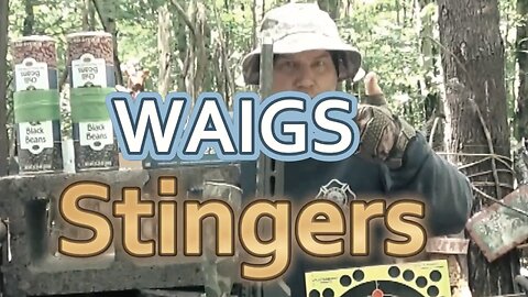 WAIGS Stingers