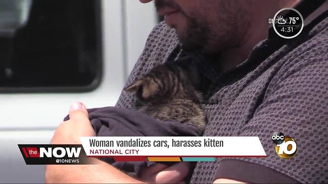 SDPD: Woman vandalizes cars, harasses kitten