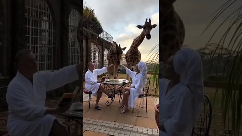 Deu Ruim 😅😱🦒😹 #shorts