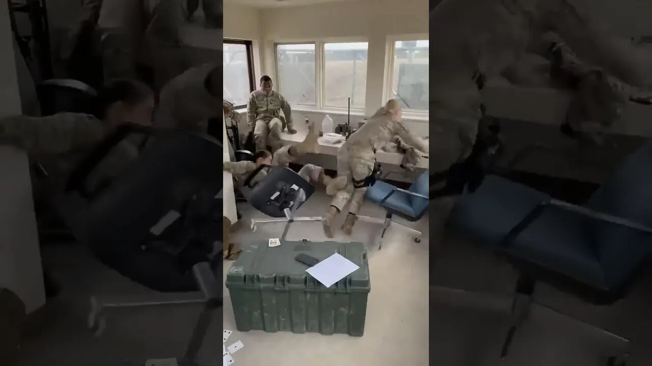 Their Boss Has Arrived! 🤣