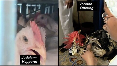 Jewish Kapparot vs. Voodoo - WUT?