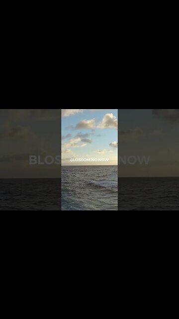 Listen to full meditations at Women's meditation network channel #meditation #sleep #shorts