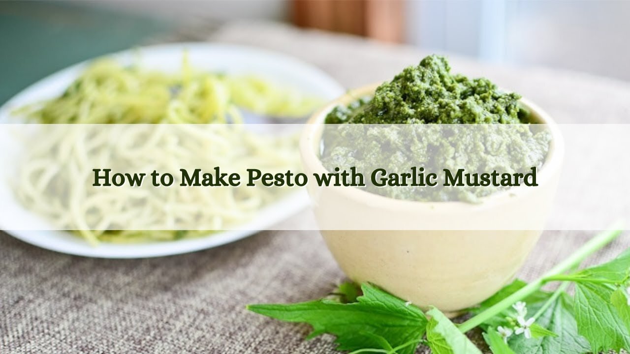 How to Make Pesto with Garlic Mustard