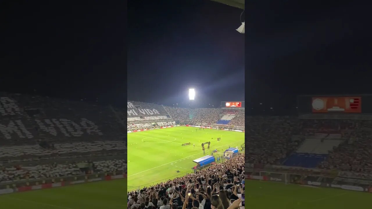 Torcida do Olímpia ensaiando mosaico pro jogo contra o Flamengo #futebol