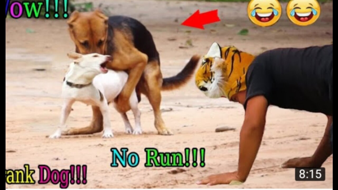 Fake tigger PRANK!!