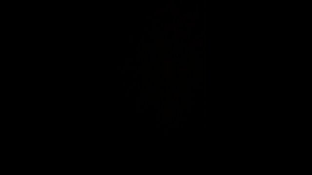 Redacted