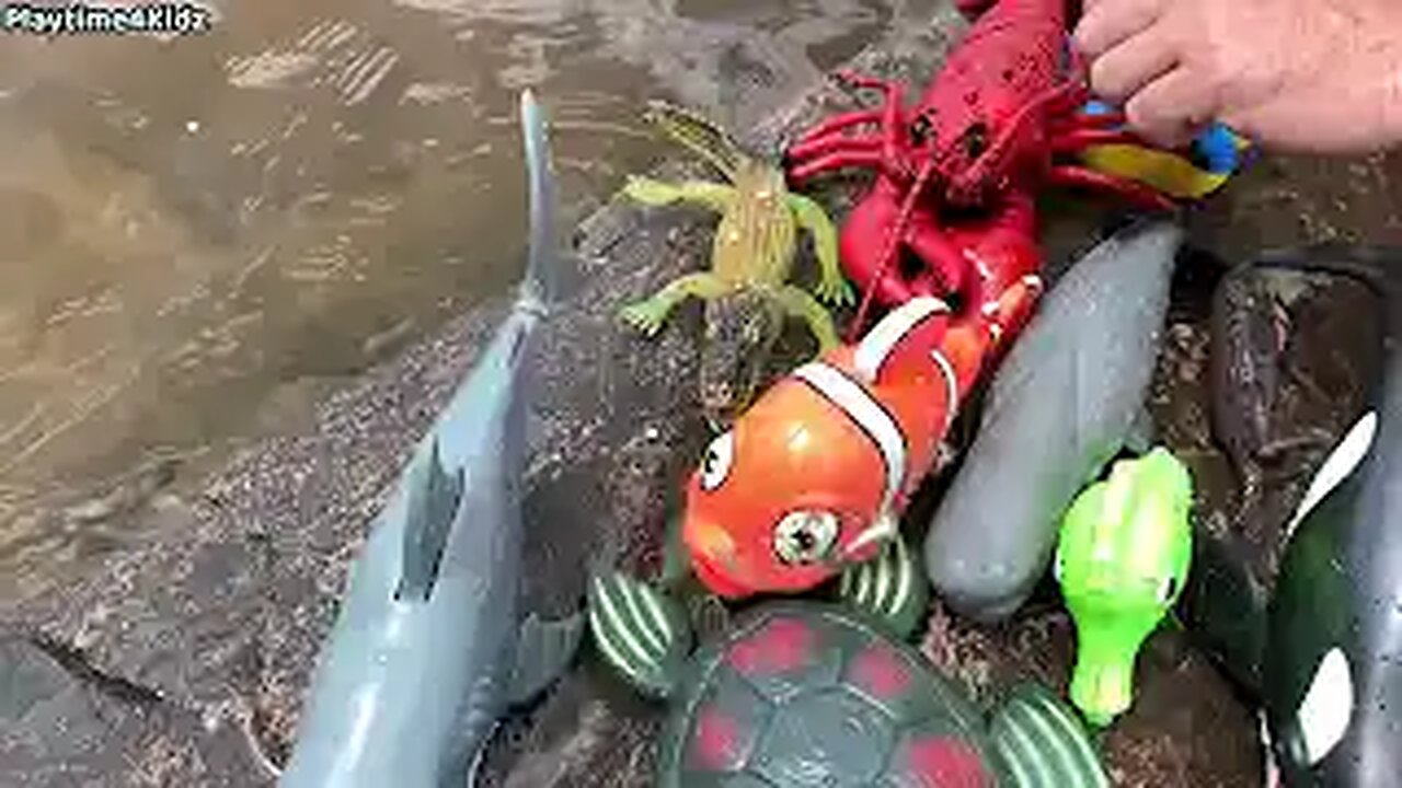 Sea Animal Toys This Summer at the Shore