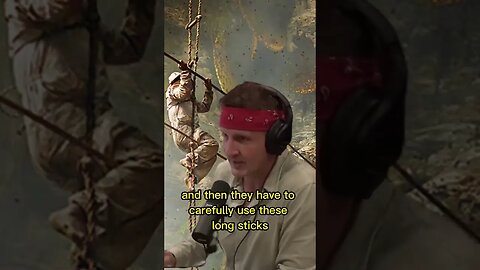 How do the villagers collect the Mad Honey? Joe Rogan & Sonny