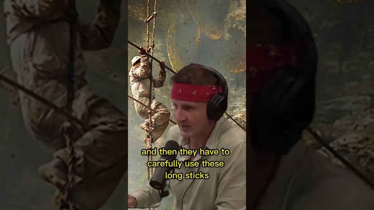 How do the villagers collect the Mad Honey? Joe Rogan & Sonny