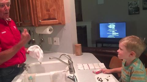 Little Boy Insists He Is The Boss