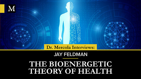 The Bioenergetic Theory of Health – Interview With Jay Feldman