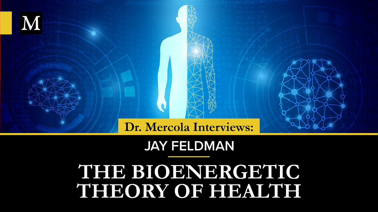 The Bioenergetic Theory of Health – Interview With Jay Feldman