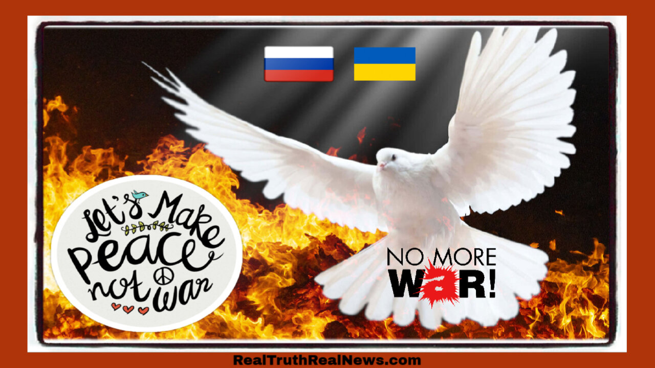 🌎🕊️ NATO is Pushing for War with Russia Amid Unofficial Peace Talks Initiated By Hungarian Prime Minister Viktor Orbán