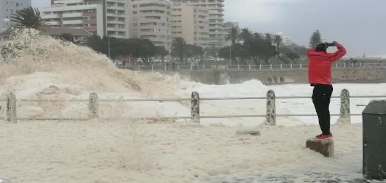 Storm uproots trees across the Cape (hxs)