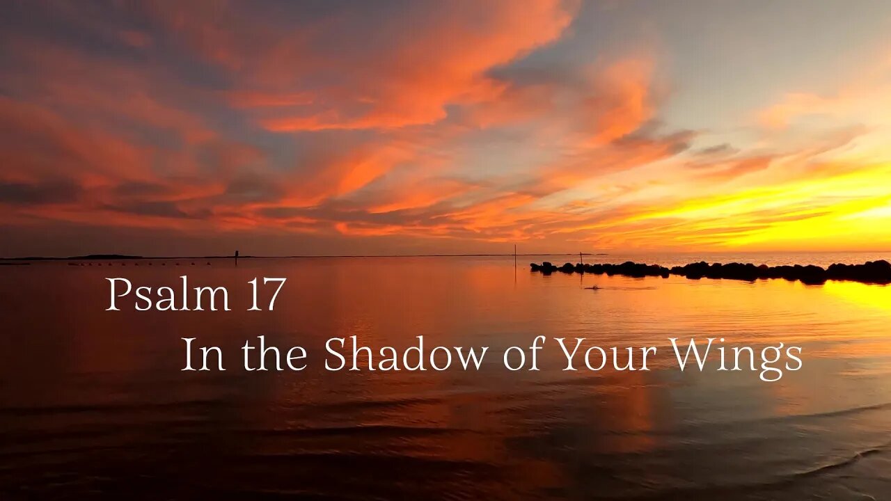 In the Shadow of Your Wings - Psalm 17 - 당신의 날개 그늘에서 - あなたの翼の陰で - 在你翅膀的陰影下