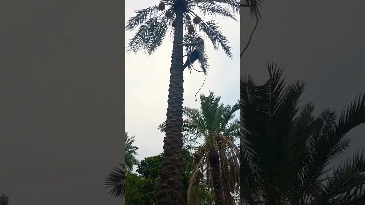 Village boy talent 🙏🏻❤💯👍