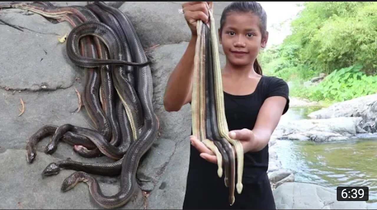 Snake Soup Recipe With Paper For Lunch