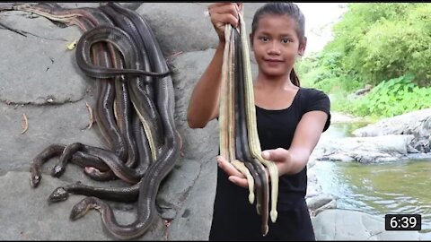 Snake Soup Recipe With Paper For Lunch