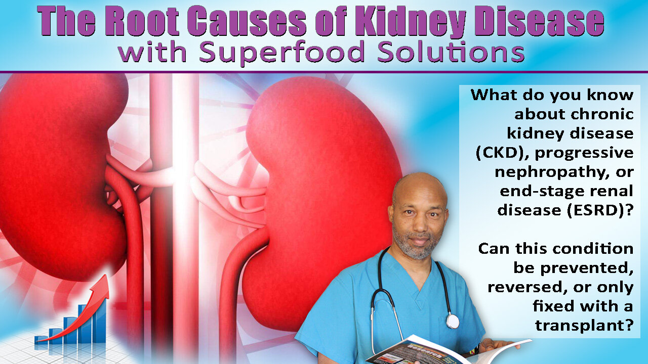 The Root Causes of Kidney Disease with Superfood Solutions