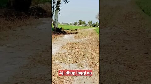 ajj laggi aa #shorts #explore #viral_video_shorts #youtubeshorts #celebrations #quotes