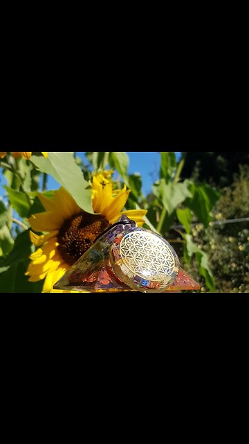 💫 VARIATIONS AUTOUR DE L'ORGONITE