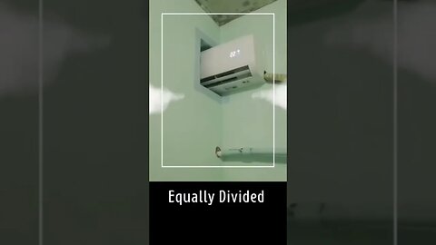 Equally Divided 🤣#Shorts #funny video #funny videos #shorts