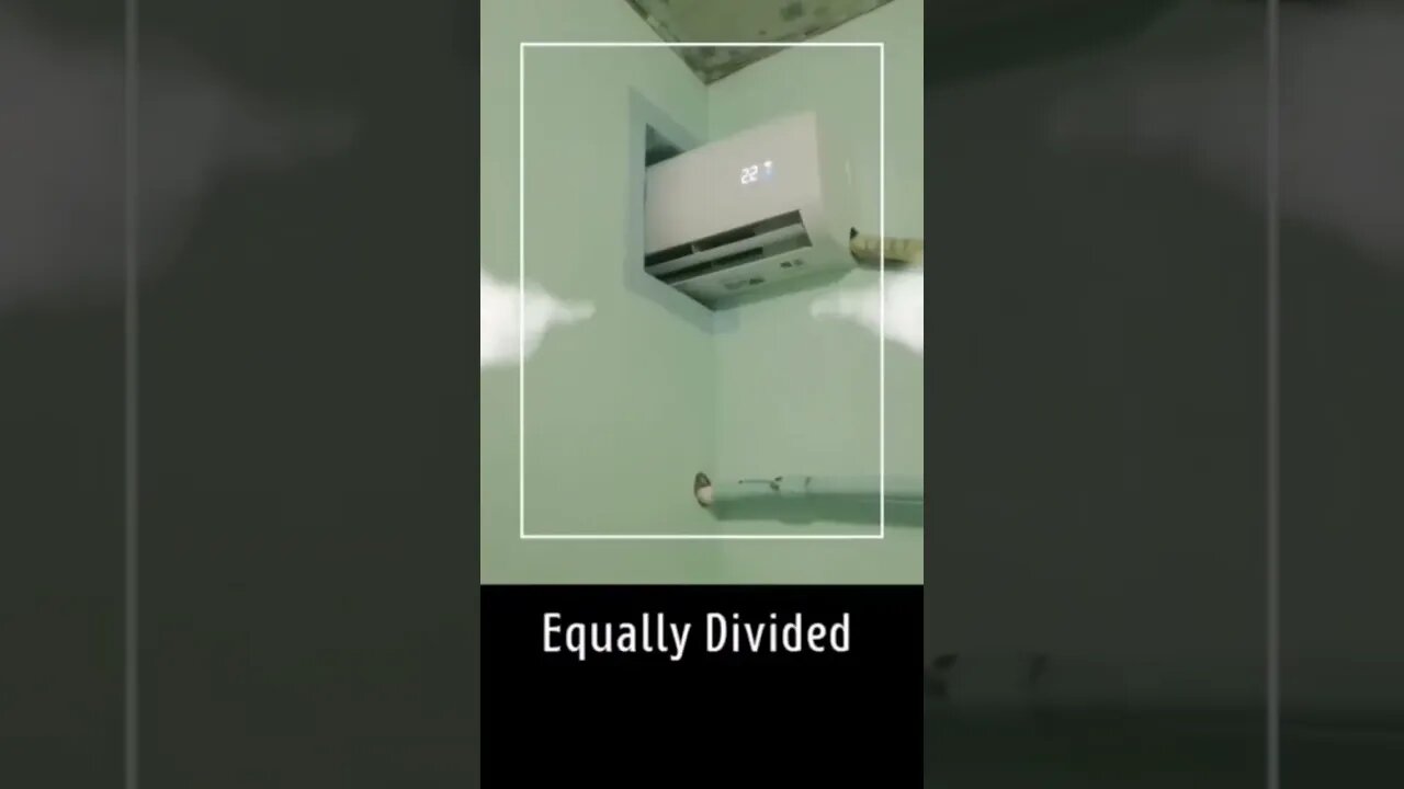 Equally Divided 🤣#Shorts #funny video #funny videos #shorts