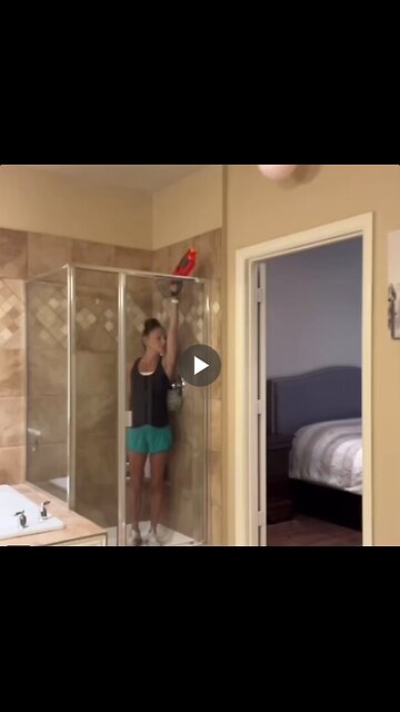 The couple's rivalry.