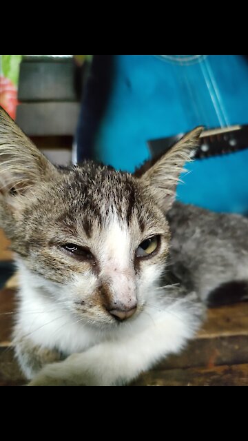 Mom shows how to feed a baby