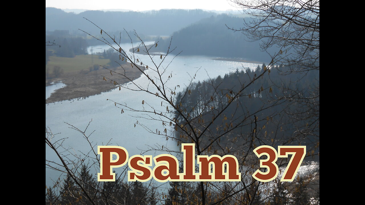 Psalm 37 (Luther)