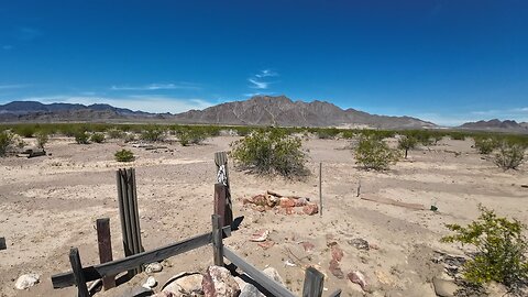 The Pet Cemetery