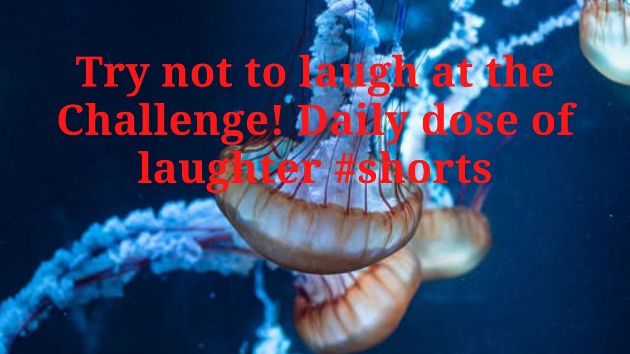 Try not to laugh at the Challenge! Daily dose of laughter #shorts