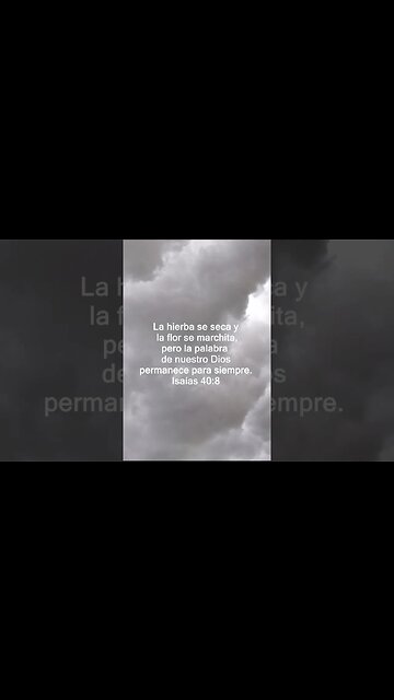 Breve versículo bíblico diario para el día.