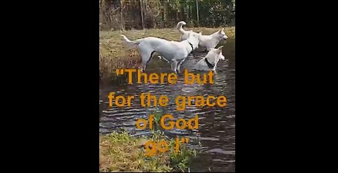 THE GRACE OF GOD - DAILY DEVOTIONAL ❤️
