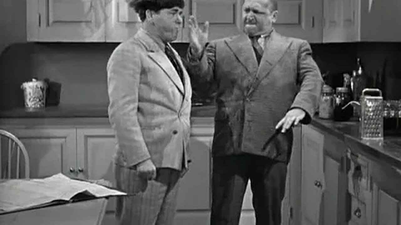 🌷 3 Stooges - "No Census, No Feeling" (1940) FULL EPISODE