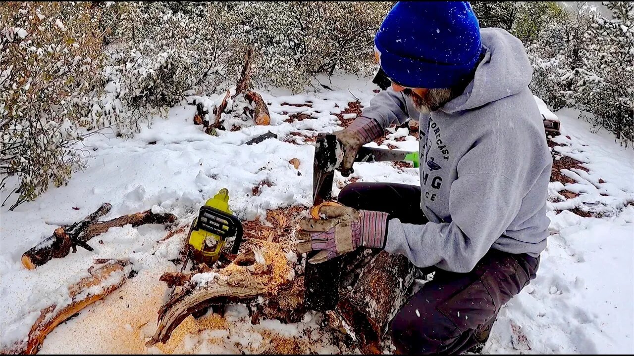 My Stovepipe Has A Problem - Snow Day at My Mountain Property - Winter Wonderland = Happy Dog