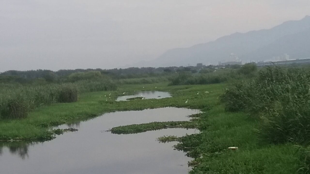 Migratory bird sanctuary inside the natural park