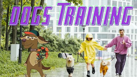 dogs training | dog fight ! Dogs Training# dogs love